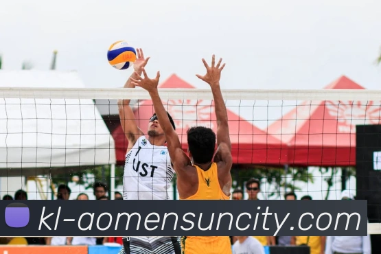 太阳城网站全站App 太阳城网站全站App