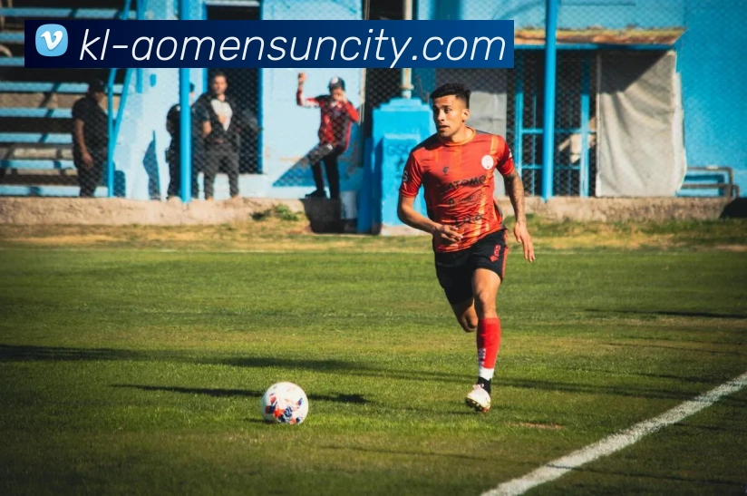 辅助工具 辅助工具